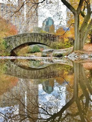 Central Park Reflection