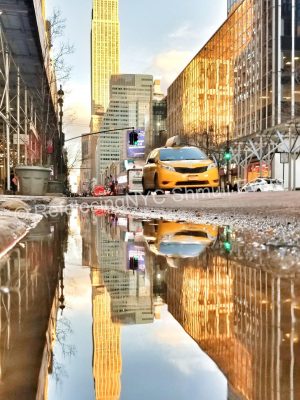 Empire State Building