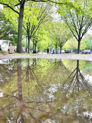 Green Eastern Parkway