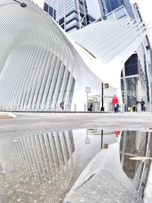 Oculus WTC
